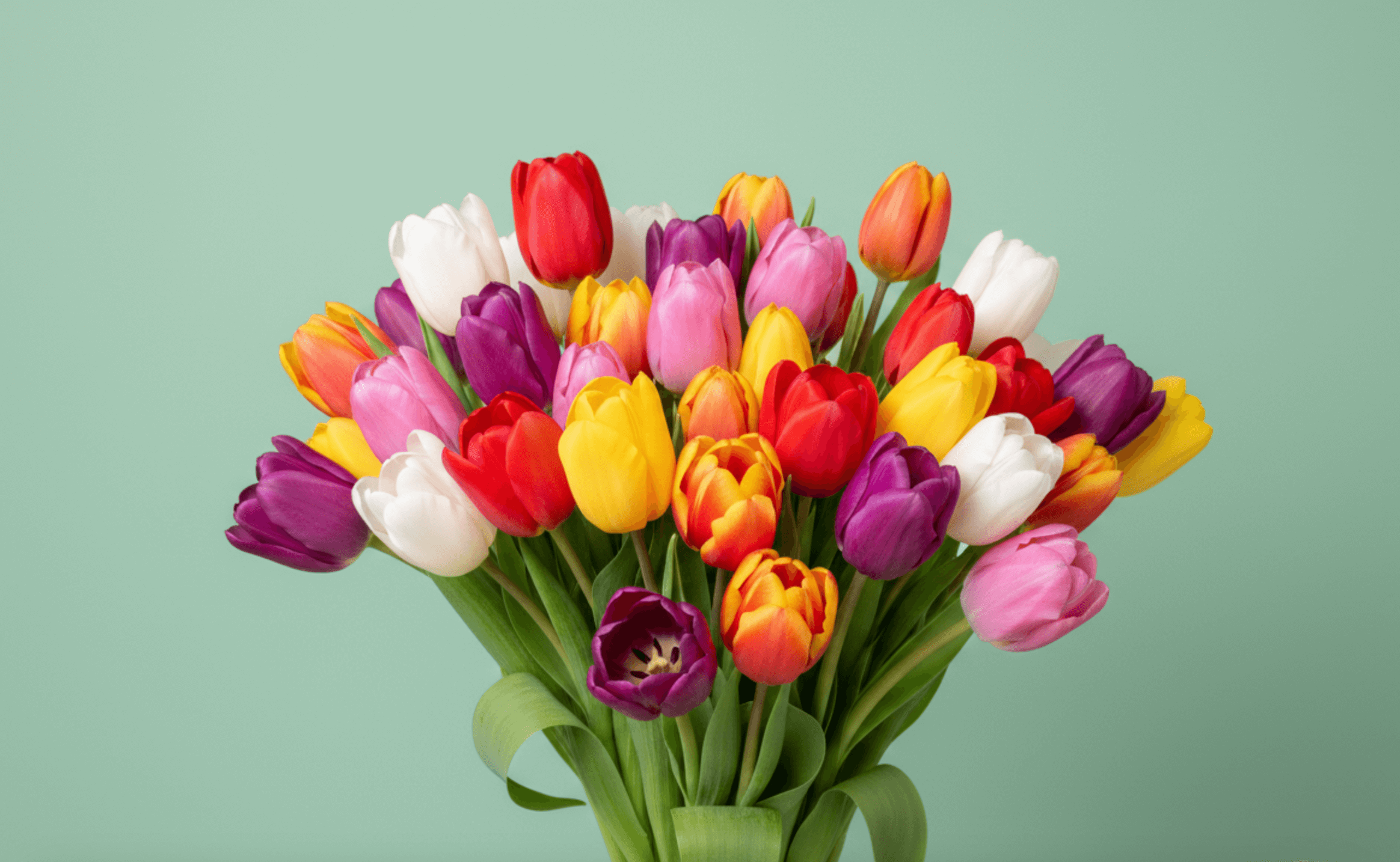 Цветы в охапку